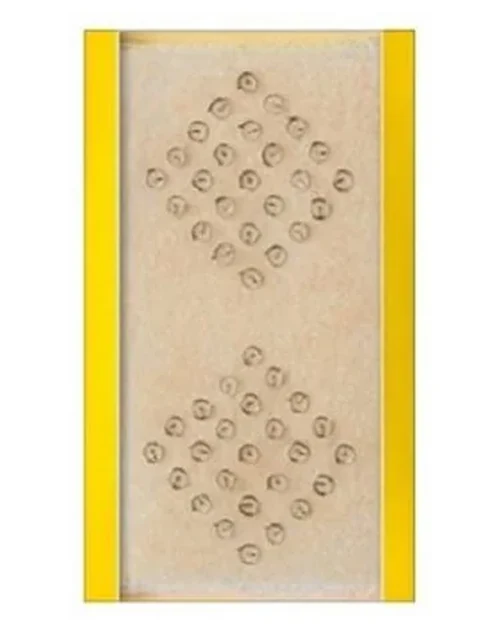 Agulha Auricular 1.0mm - Complementar Agulhas