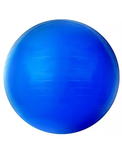 Bola gym ball 55cm cod-G124- Proaction