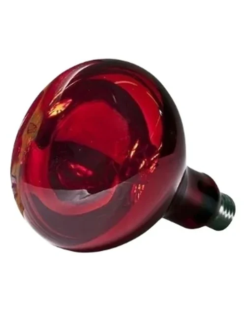 Lâmpada Infravermelho 220v 250W - Full center