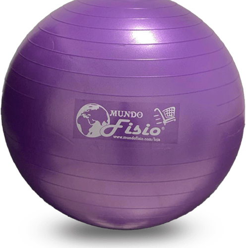 Bola de Pilates 55 cm com Inflador - Mundo Fisio